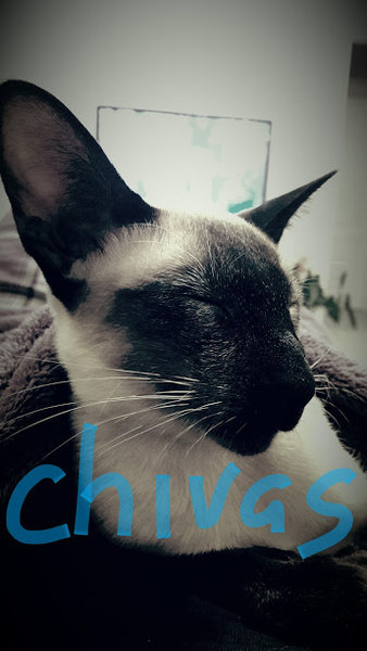 20161025_210451.jpg (51.23 KiB) Просмотров: 3179 20161025_210451.jpg