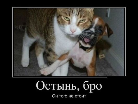 1477245240_08.jpg