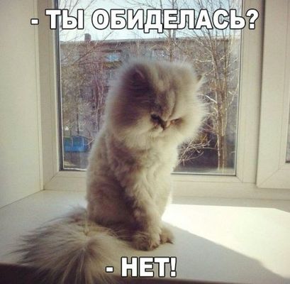 1461242677_fotomemy-7.jpg