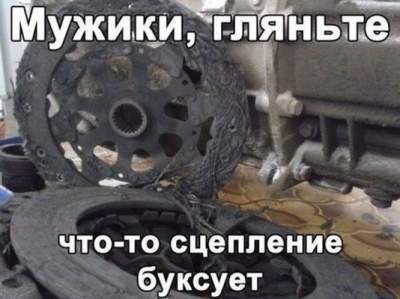 1481151619_koleso.jpg
