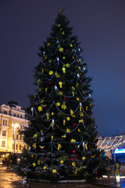 IMG_8413.jpg