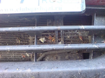 DSC00648.jpg (193.93 KiB) Просмотров: 1642 DSC00648.jpg