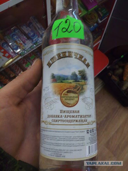 8973119.jpg