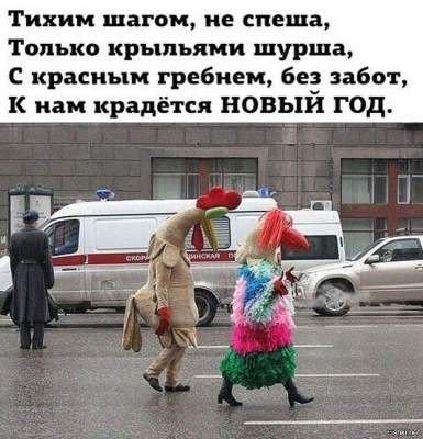 1482671471_rosi3.jpg