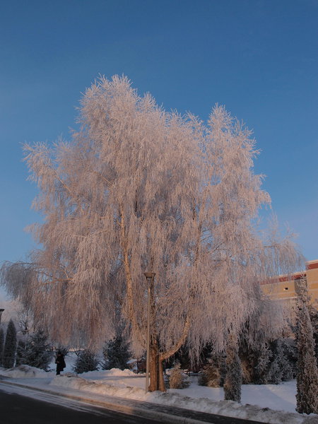 P1180009 1.jpg
