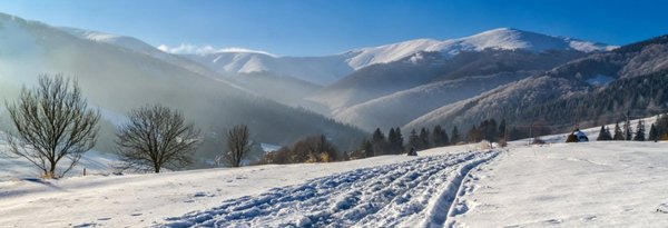 1320_450_1484380921-6227.jpg (136.1 KiB) Просмотров: 1265 1320_450_1484380921-6227.jpg