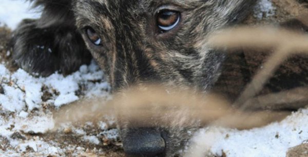 two_column_icDhrCwc.jpeg (74.38 KiB) Просмотров: 3040 two_column_icDhrCwc.jpeg