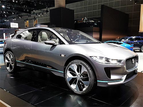 Jaguar_02.jpg