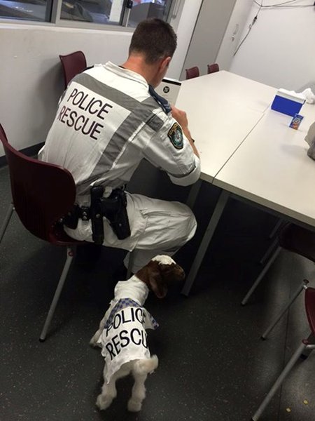 1703830.jpg (76.53 KiB) Просмотров: 1265 1703830.jpg