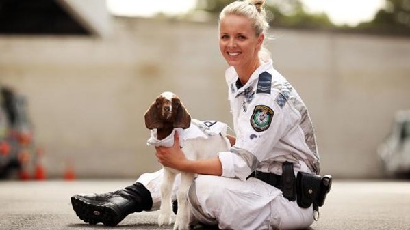 1703829.jpg (51.22 KiB) Просмотров: 1265 1703829.jpg