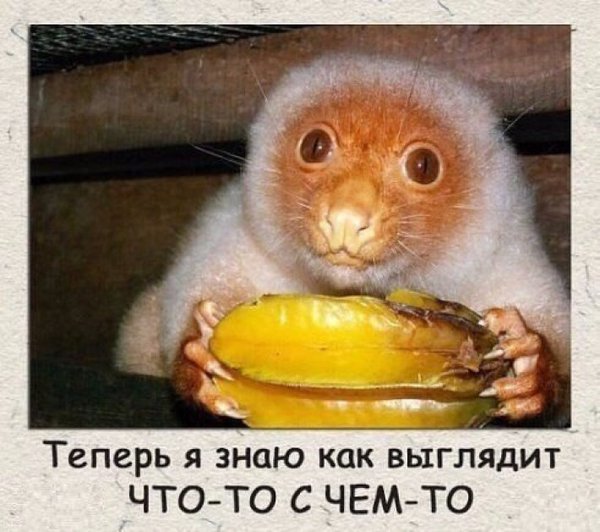 что-то.jpg