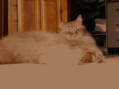 Resize of Resize of DSC00123.JPG