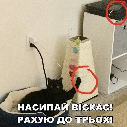 bj6vqs7m9zsfduzg0qbb.jpg