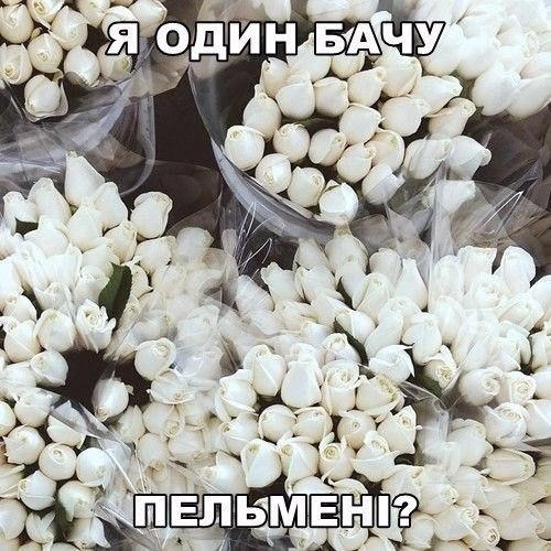 Q_FxA_y-TIE.jpg