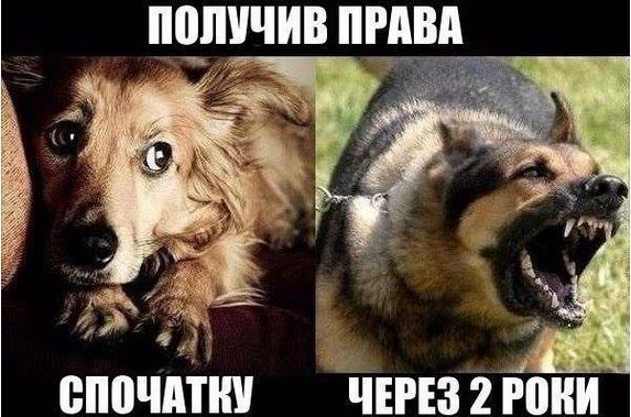 w6qhmyojq5rqzz0lxkw8.jpg