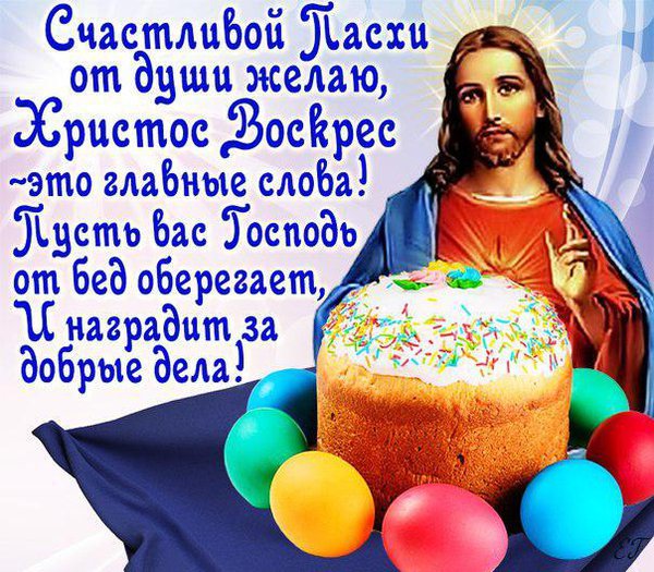 1492233620_prf-udzvcfo.jpg