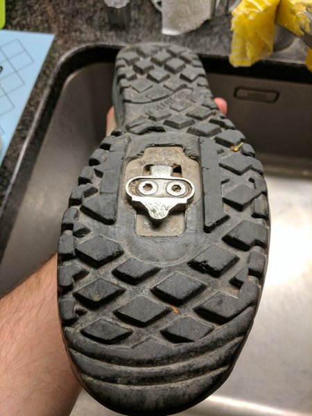 shimano back.jpg