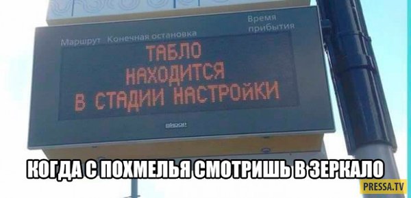 1500578292_150018814314491119.jpg
