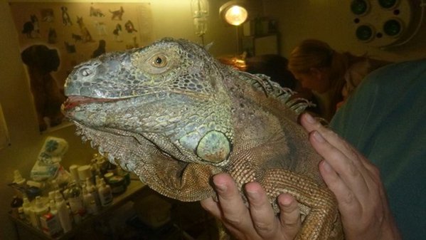 cb759883244b5271.jpg (70.66 KiB) Просмотров: 2697 cb759883244b5271.jpg