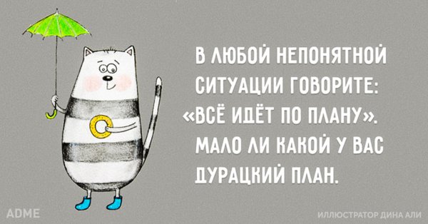 1318810-1-650-a542d8629a-1484581414-113.jpg