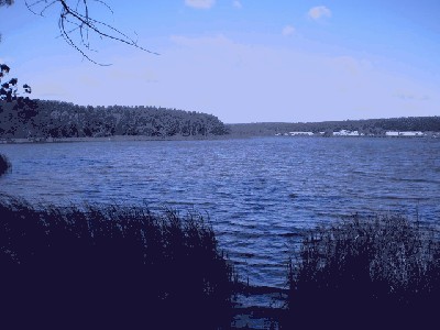 P9090029_resize.JPG