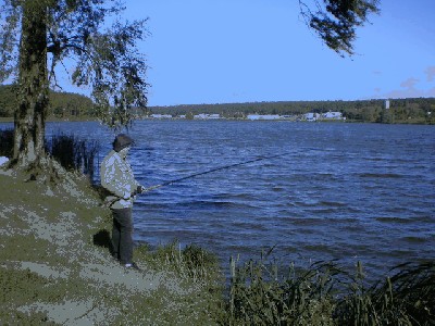 P9090027_resize.JPG
