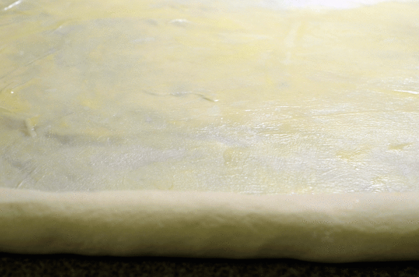 Samsa_6.gif