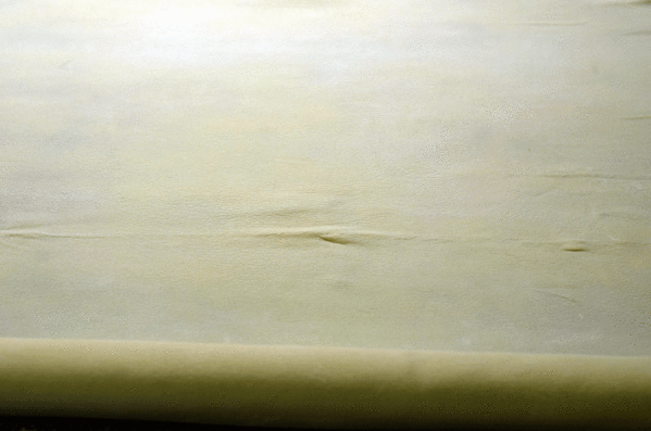 Samsa_5.gif
