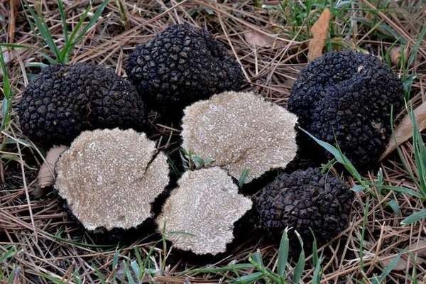 95_main.jpg (75.11 KiB) Просмотров: 2972 95_main.jpg