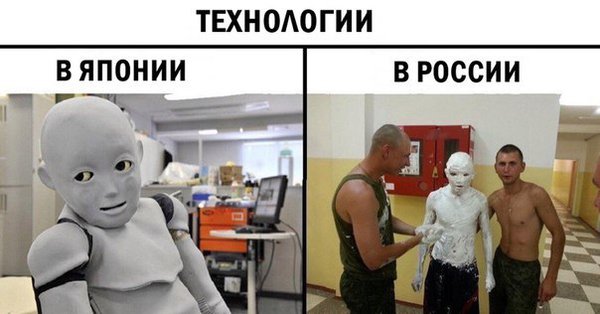 10661719.jpg