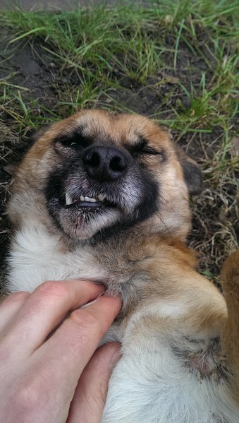 IMAG0663.jpg (1.29 MiB) Просмотров: 2903 IMAG0663.jpg