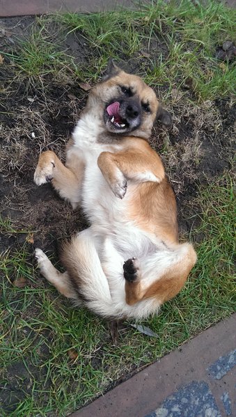 IMAG0667.jpg (1.83 MiB) Просмотров: 2905 IMAG0667.jpg