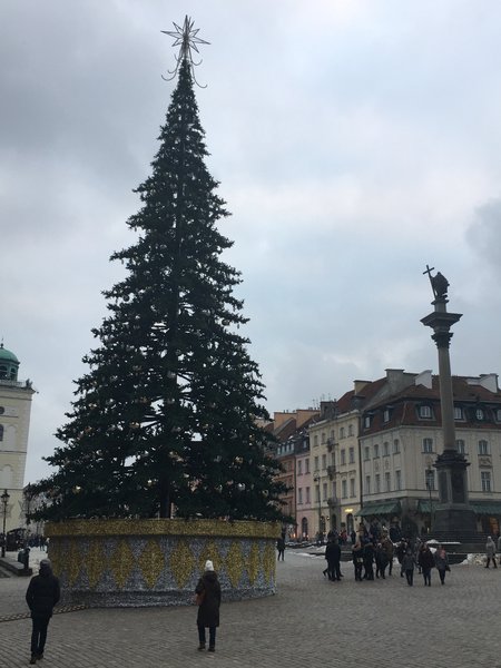 CCBF82B0-16EA-48F8-88BC-3C92EEDDC7F6.jpeg (1.84 MiB) Просмотров: 2903 CCBF82B0-16EA-48F8-88BC-3C92EEDDC7F6.jpeg