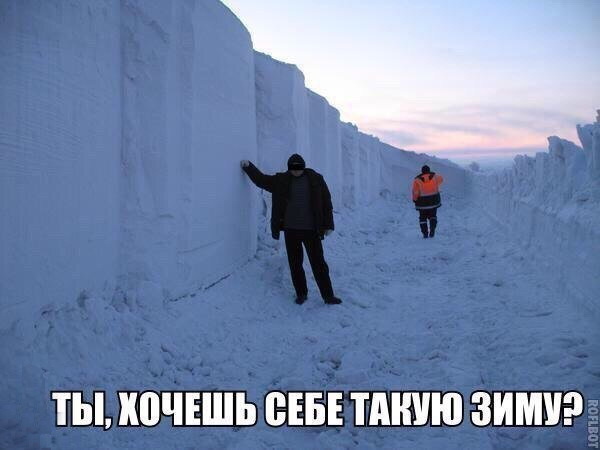1b7aa43d8.jpg