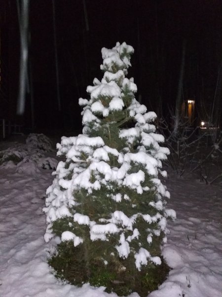 IMG_20180104_211308.jpg (1.31 MiB) Просмотров: 1119 IMG_20180104_211308.jpg