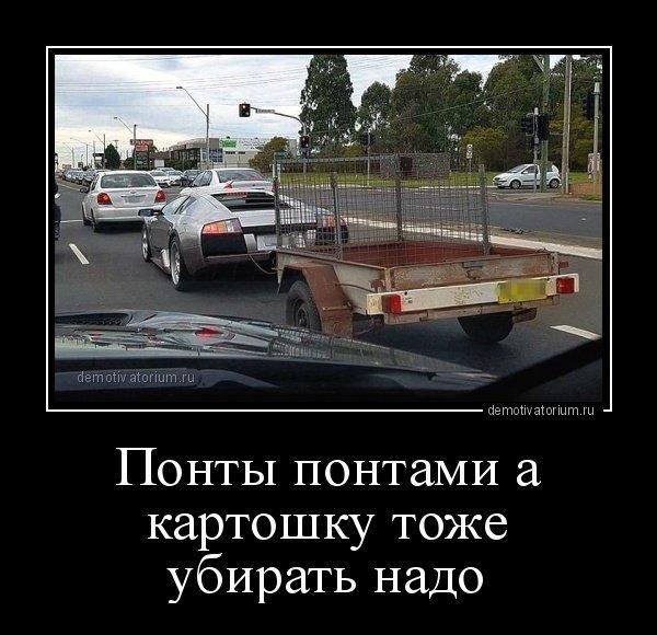 smeshnie_kartinki_146757931135.jpg