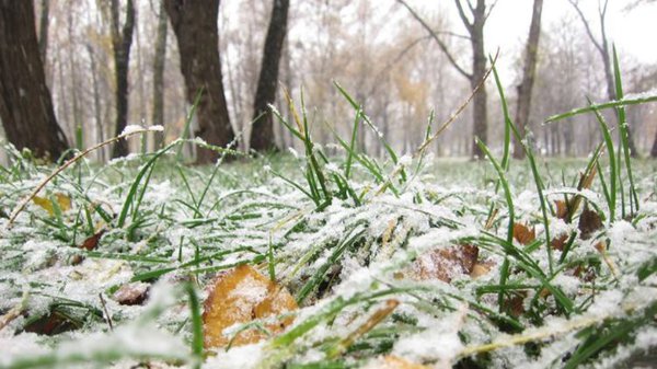 52_main.jpeg (70.15 KiB) Просмотров: 862 52_main.jpeg