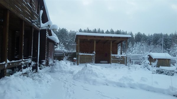 кам 289.jpg