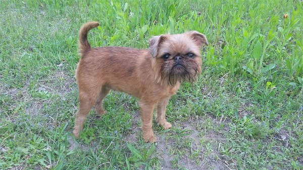 20150510_183801.jpg (364.09 KiB) Просмотров: 2726 20150510_183801.jpg