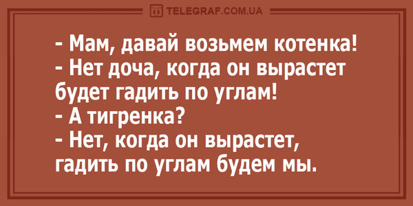 9601.jpg (150.72 KiB) Просмотров: 1817 9601.jpg