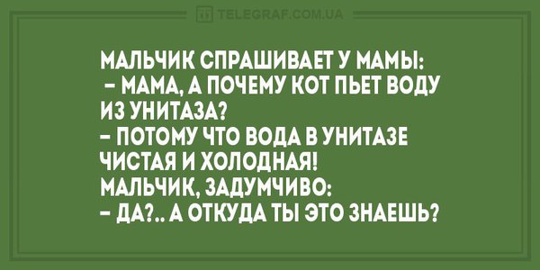 a7ea50f2-90b4-475b-8cc1-a91904da37b8.jpg