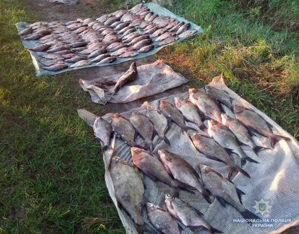 1525270942_31723279_1727915887263576_4191924674017361920_n.jpg (134.44 KiB) Просмотров: 5804 1525270942_31723279_1727915887263576_4191924674017361920_n.jpg