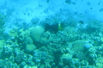 P9201958.JPG