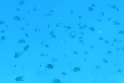 P9201957.JPG