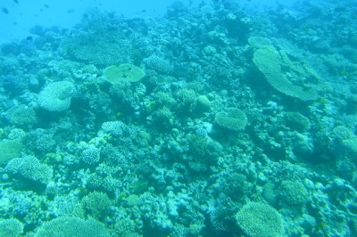 P9201956.JPG