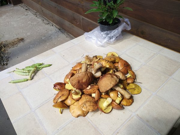 IMG_20180707_142939.jpg (4.52 MiB) Просмотров: 2662 IMG_20180707_142939.jpg