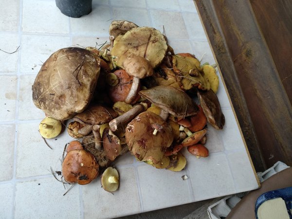 IMG_20180711_123031.jpg (3.82 MiB) Просмотров: 2597 IMG_20180711_123031.jpg