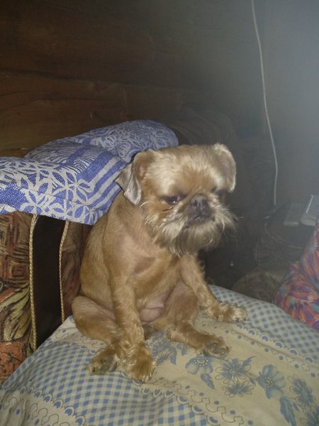 IMG_20180707_180344.jpg (3.49 MiB) Просмотров: 2874 IMG_20180707_180344.jpg