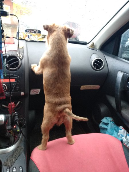 IMG-83efe1196ffa4e0f25506087a5809533-V.jpg (2.89 MiB) Просмотров: 2887 IMG-83efe1196ffa4e0f25506087a5809533-V.jpg