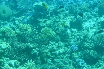 P9201981.JPG